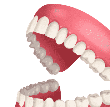 Mouth